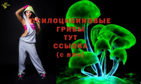 амф Бородино