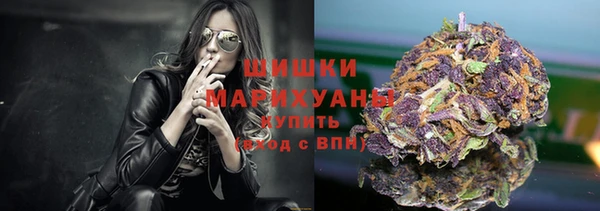 винт Бронницы