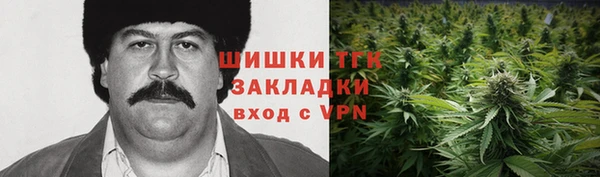 амф Бородино