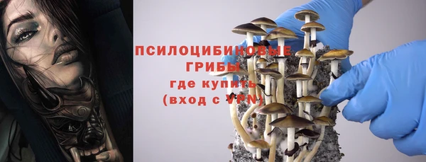 винт Бронницы