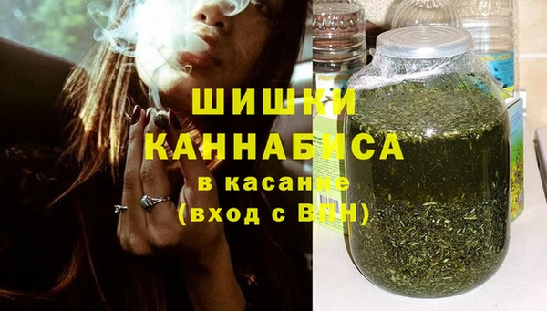 амф Бородино