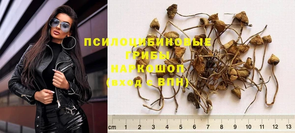 винт Бронницы