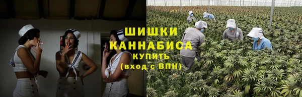 амф Бородино