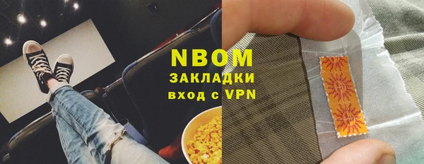 амф Бородино