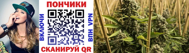 Канабис ГИДРОПОН  Купить закладки  Будённовск 